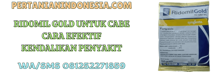 ridomil gold,cabe,ridomil gold mz 4/64 wg,fungisida,pertanian indonesia